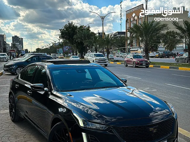 Used Cadillac CT5 in Baghdad