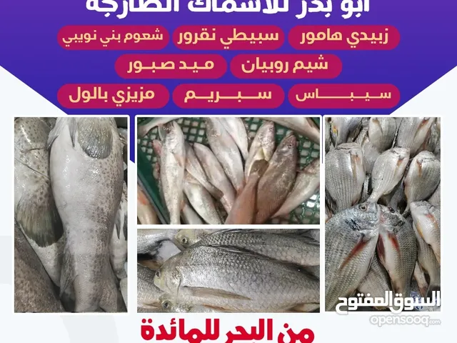 جميع الأسماك تنضيف وتوصيل جودة عالية وسعر مناسب