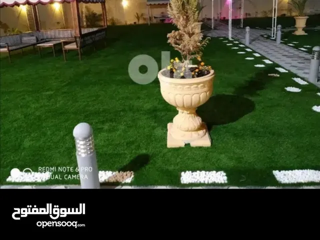 Artificial grass carpet sale & Installation