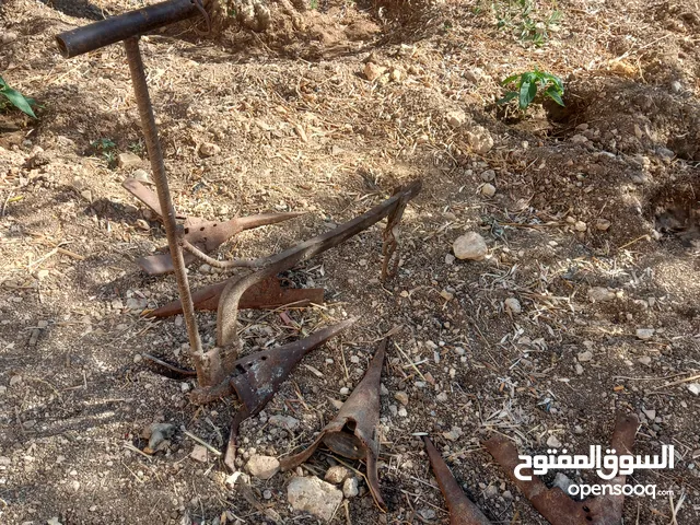 عود خيل حديد