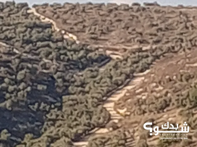Mixed Use Land for Sale in Nablus Yasid