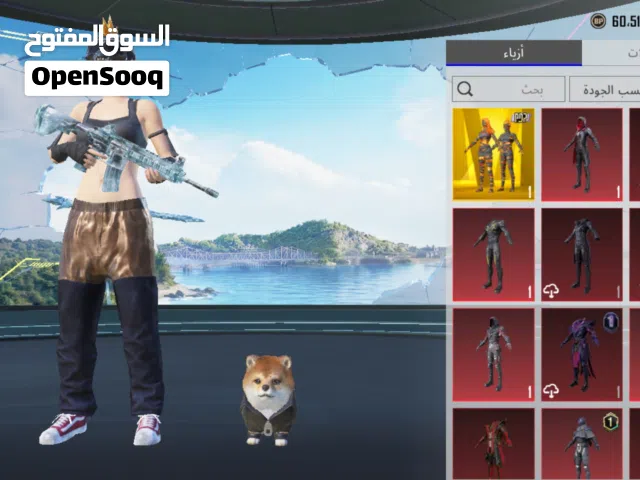 حساب ببجي للبيع