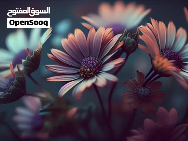 شقة عمارات البحوث تاجوراء اربع ديار الدور التاني