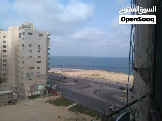 100 m2 2 Bedrooms Apartments for Rent in Alexandria Miami