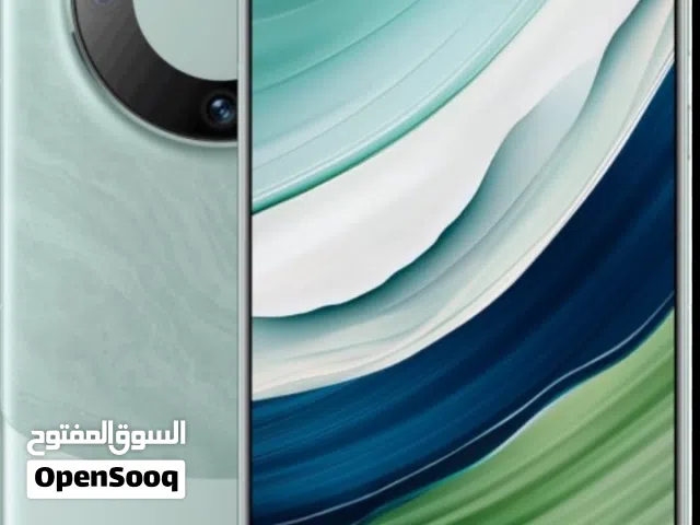 HUAWEI Mate 60 Pro