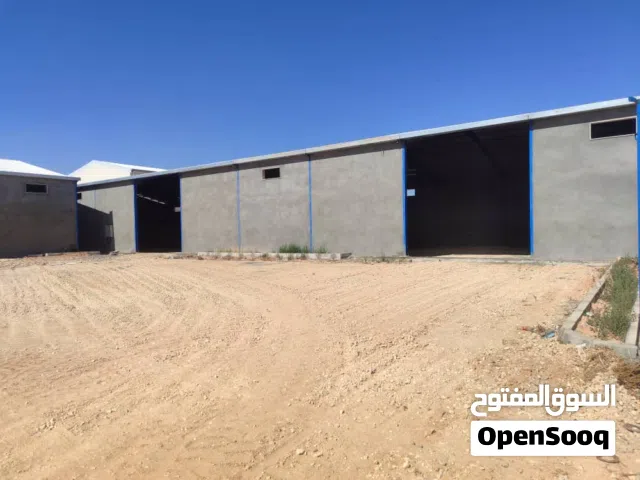 عدد 2 مواقع للايجار لكل موقع به عدد 2 هناقر سقف سندوتش في الكريمية حوازة الورد قرب مسجد الصحابة