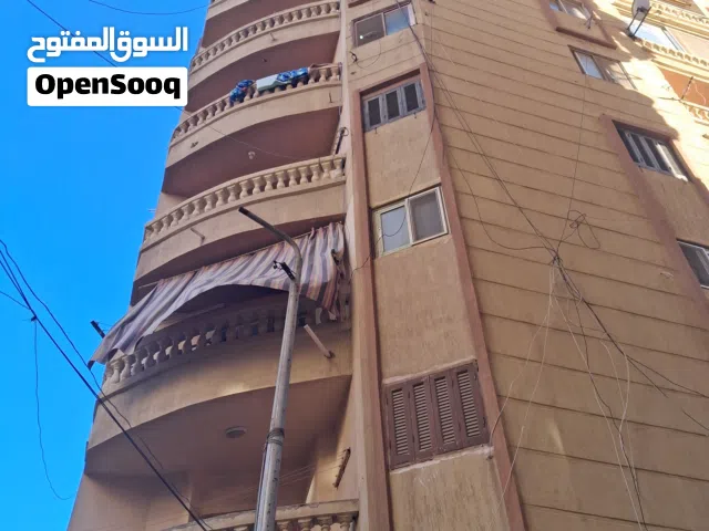 جاهزه علي المفتاح اول نمره من البيطاش الرئيسي