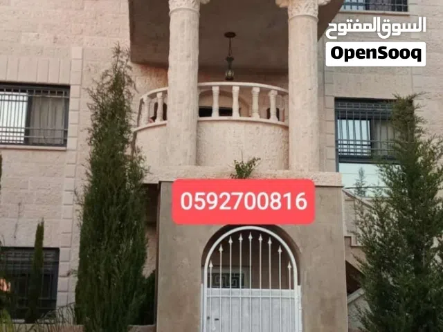 استوديو مفروش
