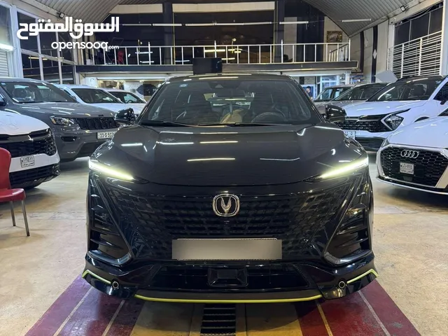 شانجان يو ني تي 2024