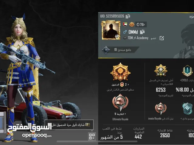 Pubg Accounts and Characters for Sale in Sharjah