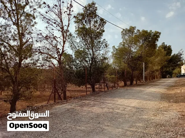 أرض مزروعة في جنوب عمان للبيع