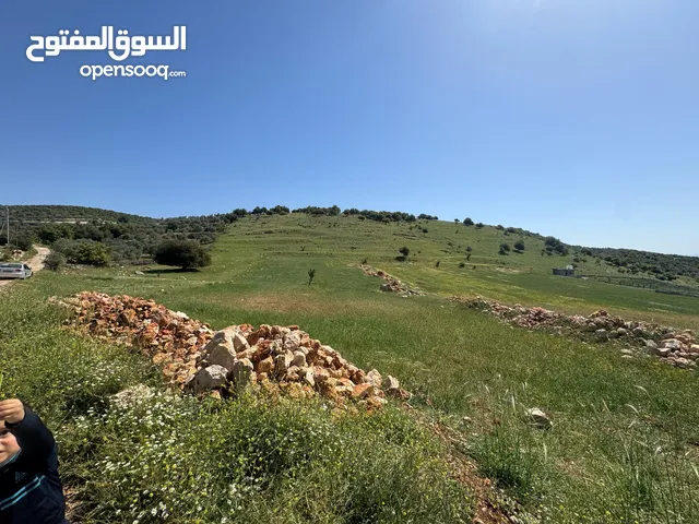 Farm Land for Sale in Ajloun Other