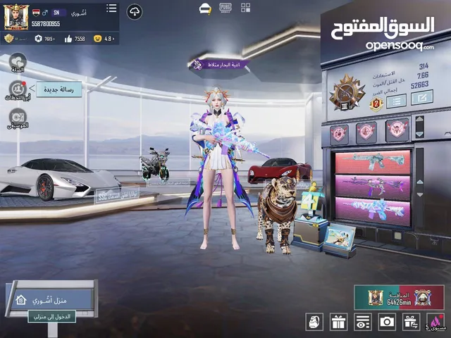 Pubg Accounts and Characters for Sale in Baghdad