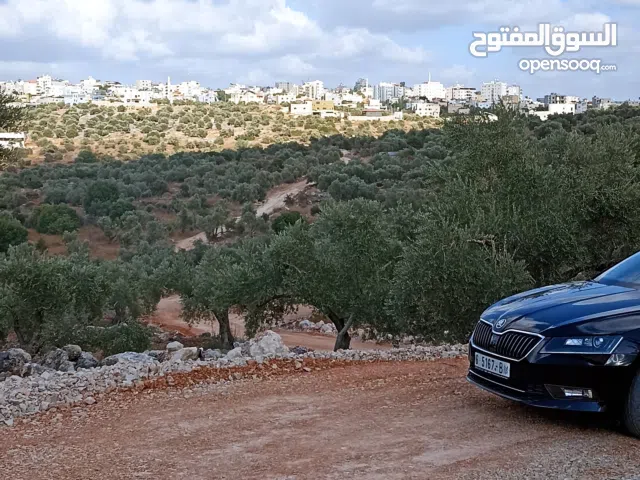 قطعة ارض للبيع لقطه لقطه لقطه لقطه