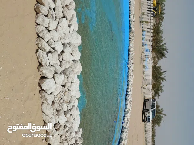 إنشاء بحيرات وشلالات بيع طربال أزرق و أ ومحميات زراعية لهوا الزراعة المنزلية على الأسطح بشكل أحترافي