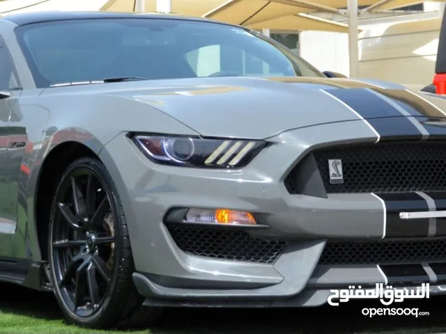 موستنج شيلبي GT350 Shelby 2018