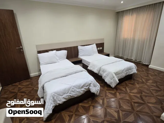 Furnished Daily in Cairo Nasr City