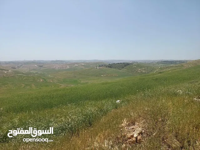 Residential Land for Sale in Amman Shafa Badran