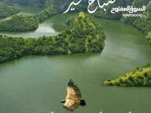 مطلوب عامل