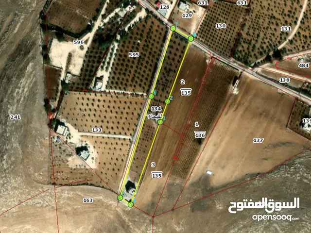 Farm Land for Sale in Madaba Al-Fayha'