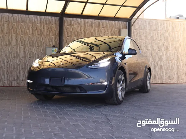 TESLA MODEL Y Standard Plus 2021