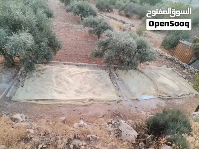 ارض للبيع في منطقه السلط واد السلط