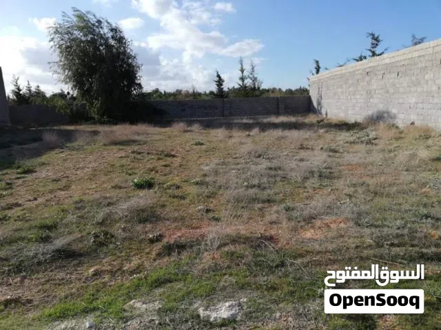 يمكن دفع جزء صك، لا تقولي القويعة لا النشيع 500 متر قريبة من الساحلي تاجوراء تمشي سكني او استراحة