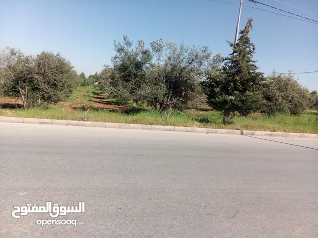 Commercial Land for Sale in Madaba Other
