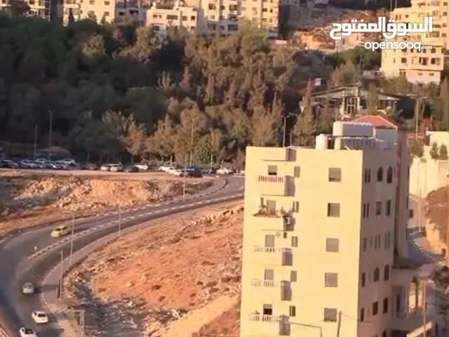 الوسيط ضياء