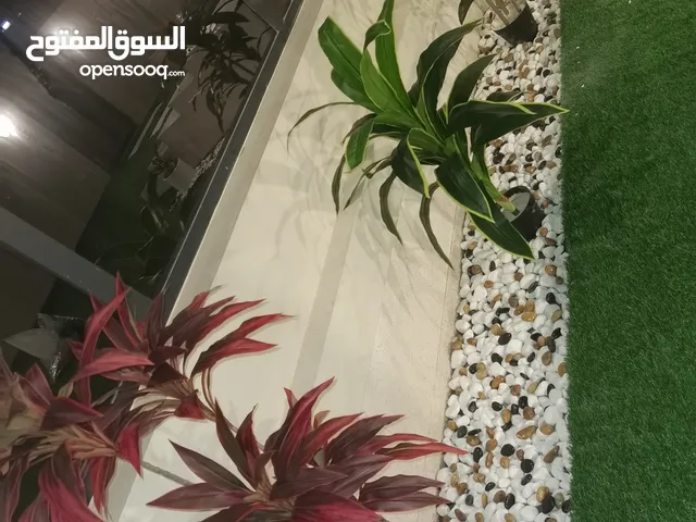 عرض على العشب الصناعي 46 ملم من شركة بستان النجيد