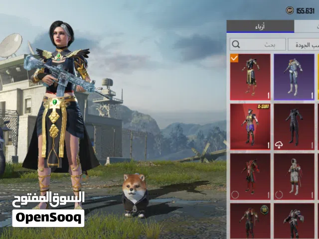 Pubg Accounts and Characters for Sale in Sana'a