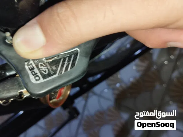 بايسكل سياحي ياباني
