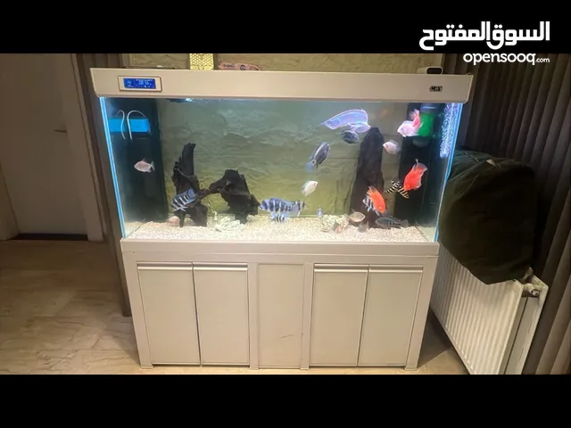 حوض سمك اجنبي