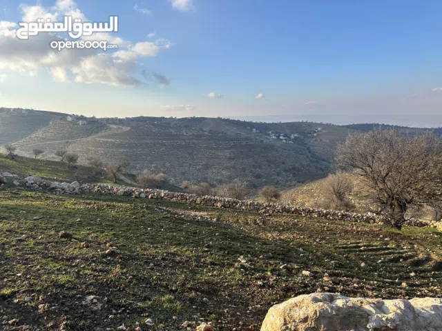 Farm Land for Sale in Zarqa Al-Kamsha