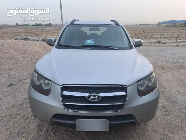 سنتافي 2008