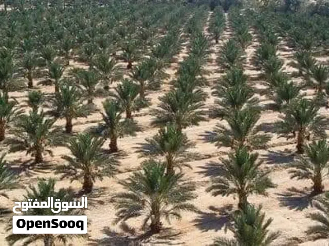 Farm Land for Sale in Salt Al Balqa'