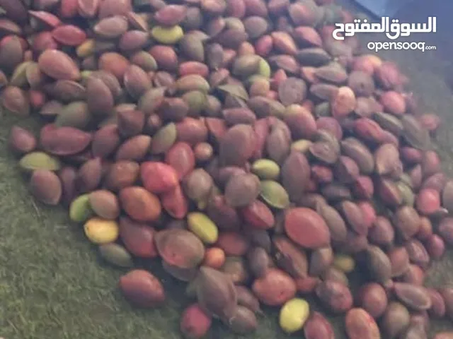 بيذام احمر