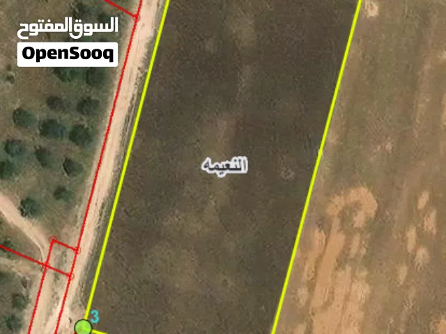 Residential Land for Sale in Irbid An-Nuayyimah