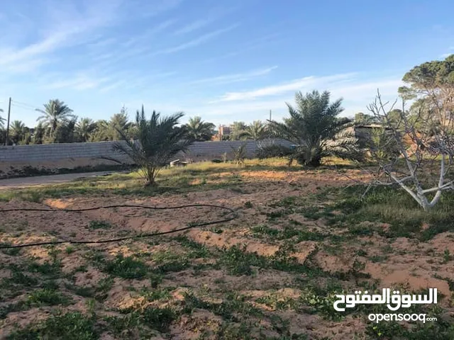 Mixed Use Land for Sale in Misrata Ad Dafiniyah