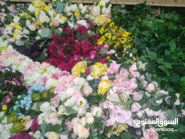 وردمشكل وعشب وباقات كامله بالقاعده تصفية محل السعر كزيوني للبضاعه قابل للنقاش في حدود المعقول ازهار