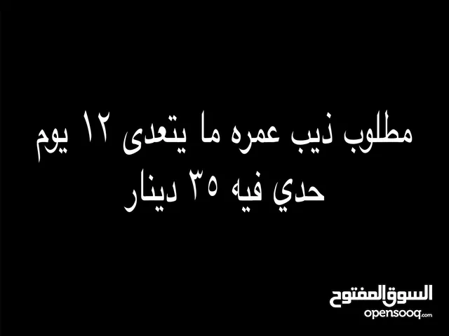 مطلوب ذئب ملاحظة ما ارد الا واتساب