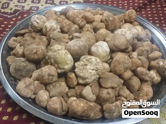 الكما طعام وعلاج بري