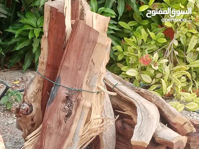 حطب للبيع مكان التواحد صحم