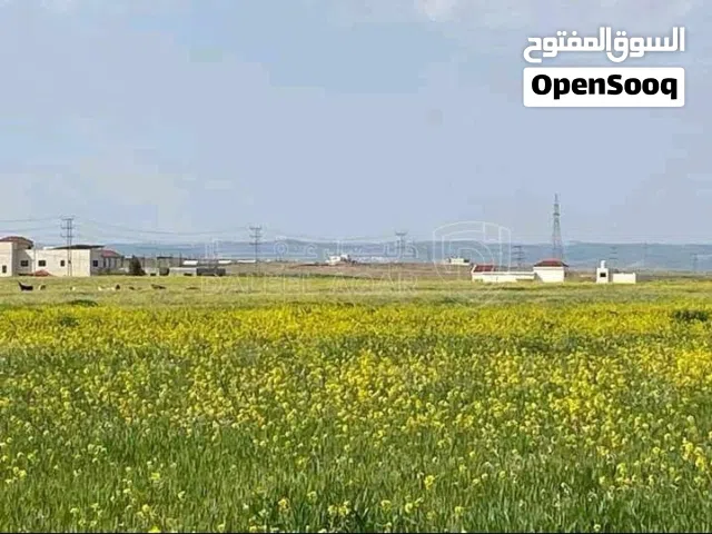 Residential Land for Sale in Ramtha Al Bweida
