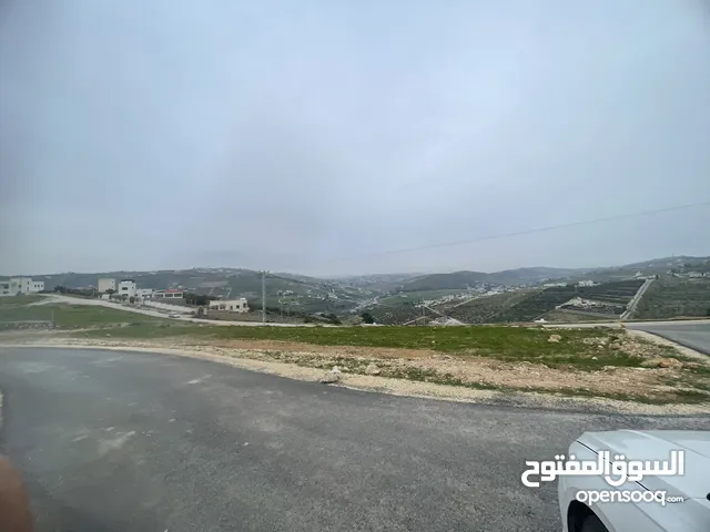 Residential Land for Sale in Zarqa Birayn