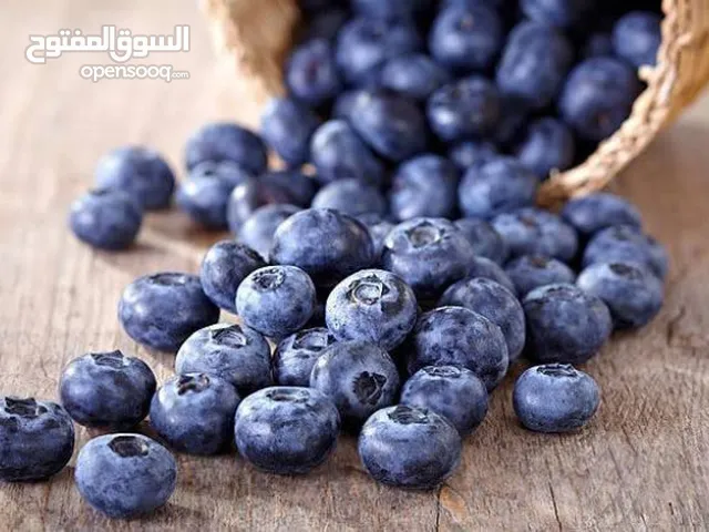 Fresh BlueBerry from Turkey Naturel jumbo sizes