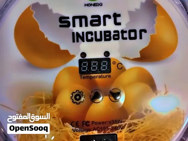 مطلوب فقاسه بيض نوع جيد ويفضل فقاسه 12 بيضه الي عنده يبعثلي وشكرآ