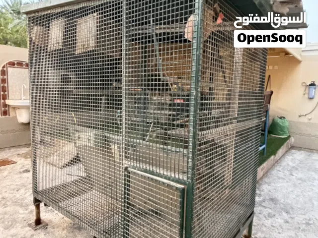 للبيع قفص طيور نوعية قوية جدا تفصيل