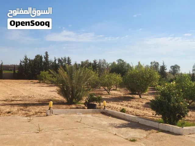 Farm Land for Sale in Tripoli Wadi Al-Rabi