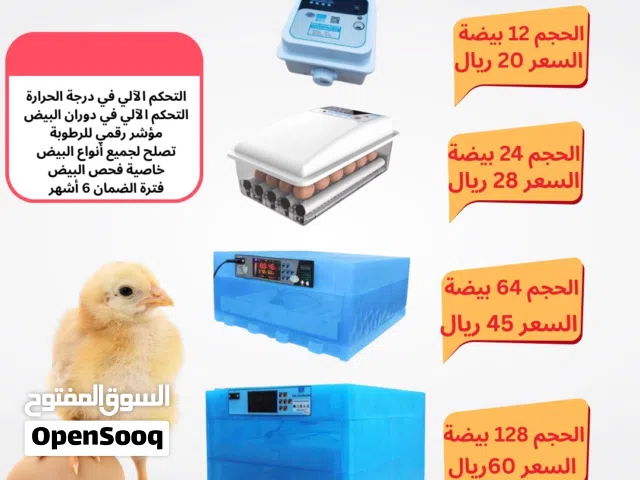 فقاسات بيض جودة ممتازة